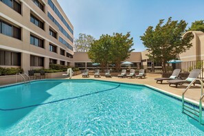 Outdoor pool, pool loungers