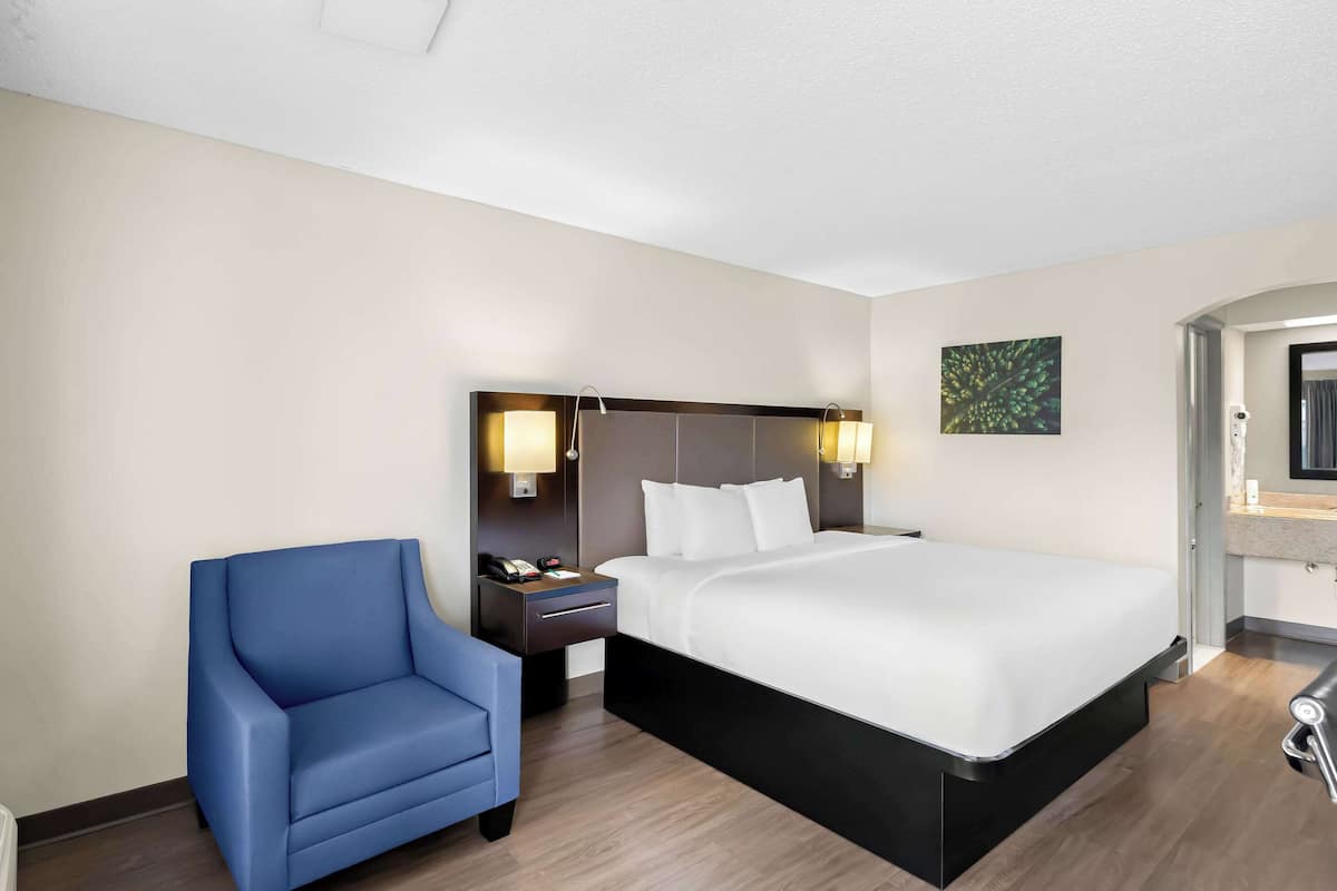 Standard Room, 1 King Bed, Non Smoking | Desk, laptop workspace, blackout drapes, free cribs/infant beds