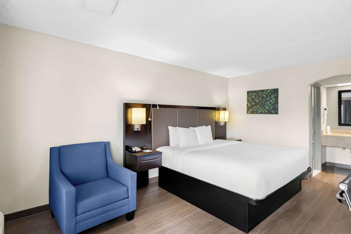 Standard Room, 1 King Bed, Non Smoking | Desk, laptop workspace, blackout drapes, free cribs/infant beds