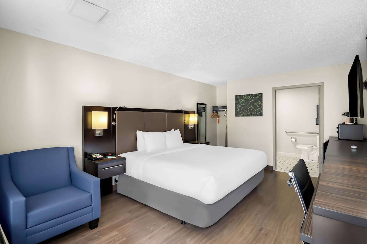 Room, 1 King Bed, Accessible, Non Smoking | Desk, laptop workspace, blackout drapes, free cribs/infant beds