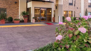 Entrada de un edificio moderno con puerta de cristal, plantas en macetas y un felpudo rojo.