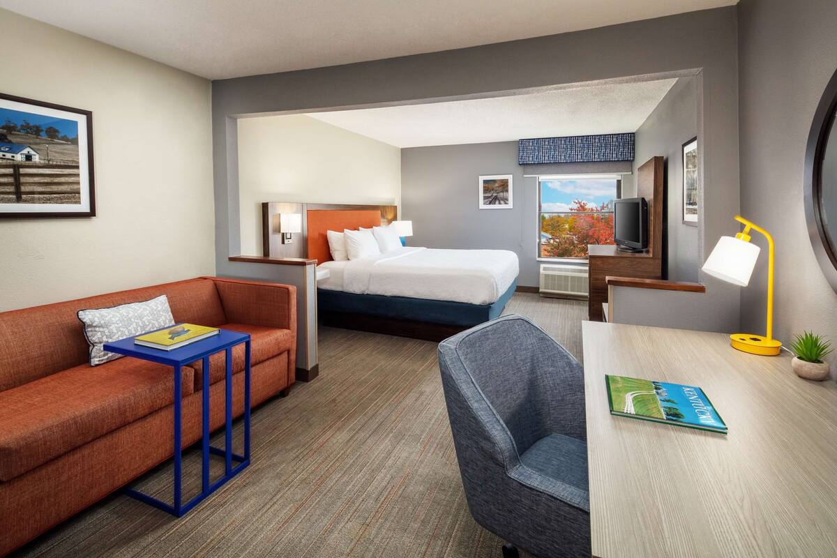 A hotel room with a bed, a sofa, a desk, and a chair.