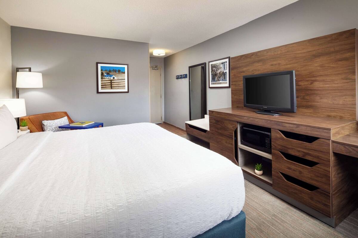 A hotel room with a large bed, a wooden dresser with a TV, a desk, and a small plant.