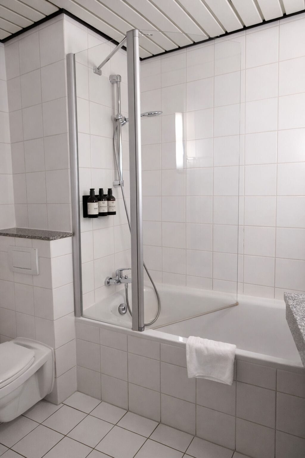 A modern bathroom with a glass-enclosed shower, a separate bathtub, and a toilet.