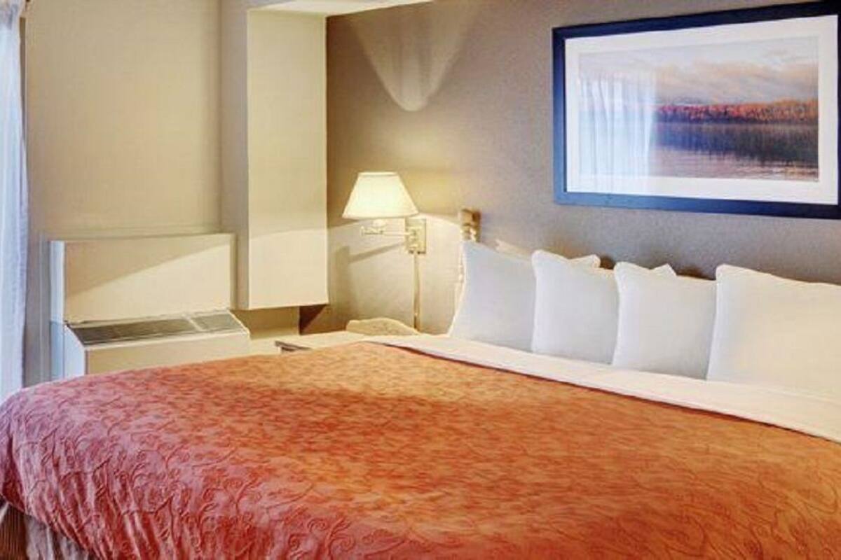 A hotel room with a large bed, a nightstand, a lamp, and a framed picture on the wall.