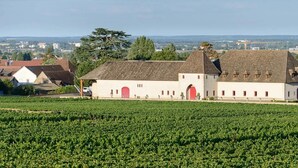 A large building with a red door, surrounded by a vineyard.