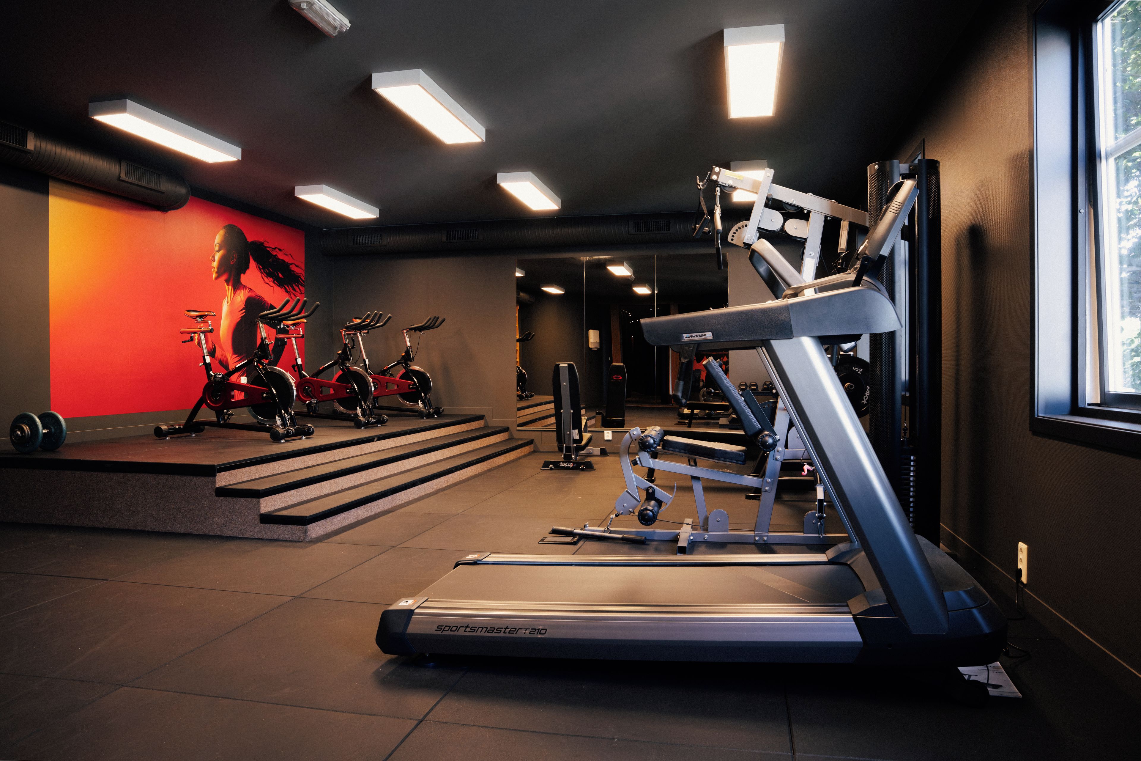 A gym with treadmills, stationary bikes, and weight machines.