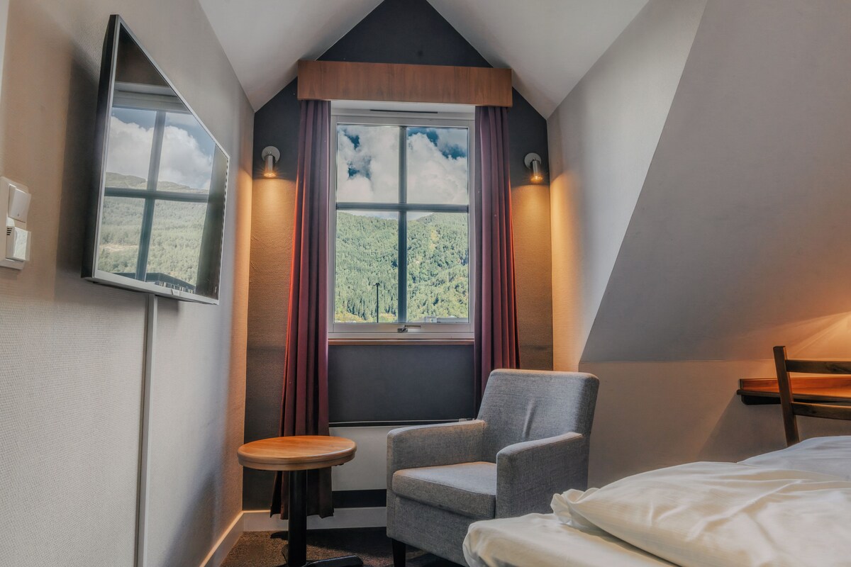 Eenpersoonskamer (Small) | Een bureau, een laptopwerkplek, babybedden (toeslag), gratis wifi