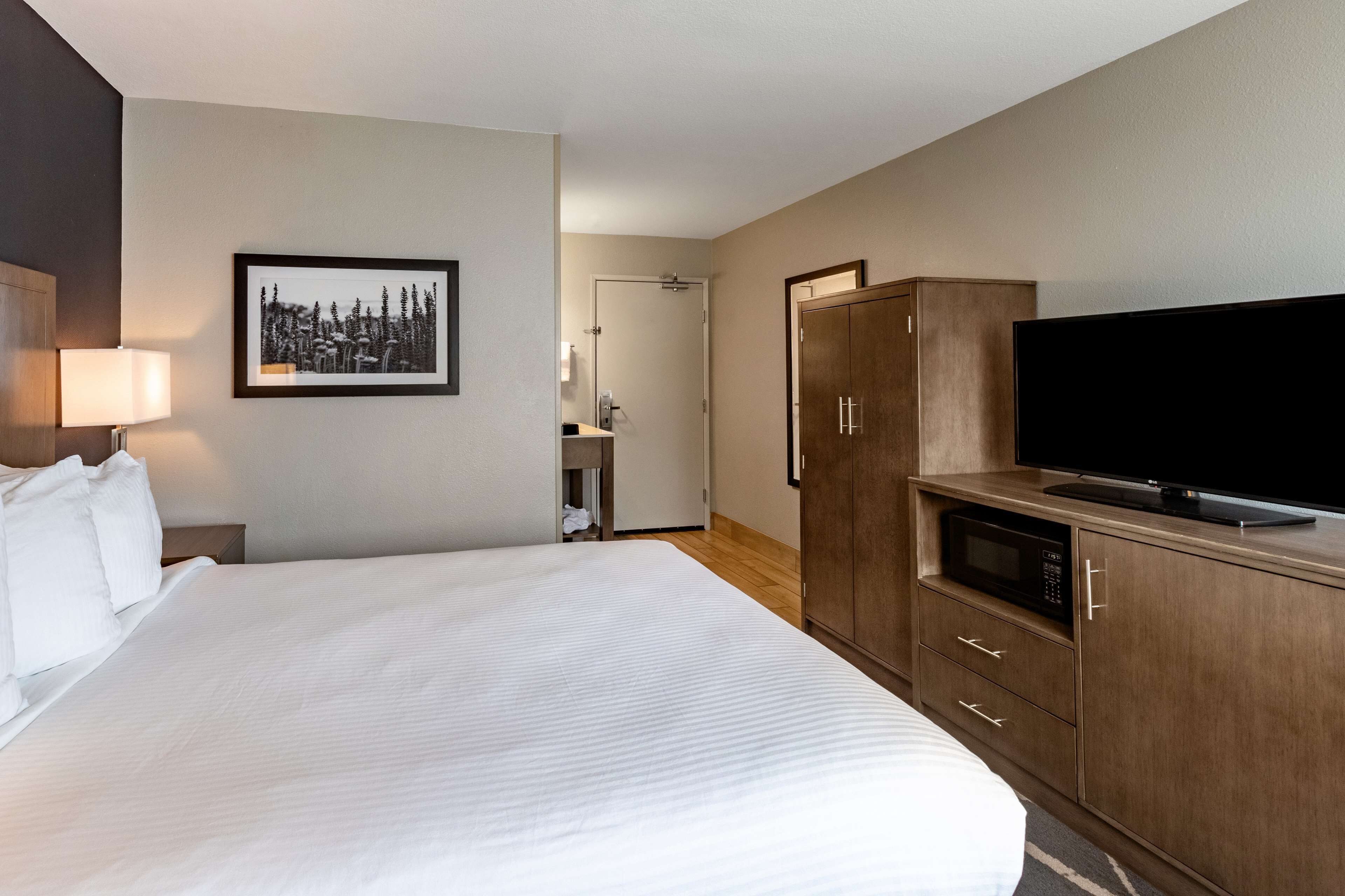 A hotel room with a large bed, a television, a microwave, and a wardrobe.