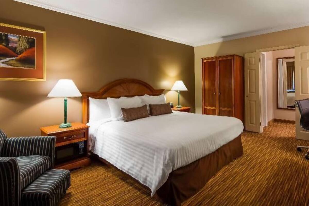 Une chambre d’hôtel avec un grand lit, deux lampes de chevet, une télévision, un fauteuil à rayures et un tableau au mur.