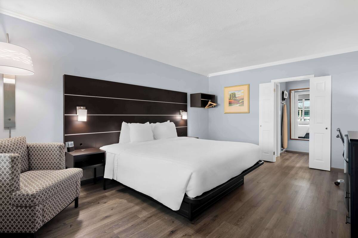 Une chambre d’hôtel moderne, dotée d’un grand lit, d’un canapé, d’une table de chevet et d’un téléviseur fixé au mur.
