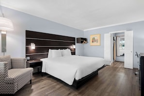 Standard Room, 1 Queen Bed, Accessible, Bathtub | Desk, iron/ironing board, cots/infant beds, rollaway beds
