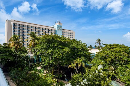 Caribe Hilton - Image 19