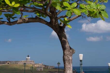 Caribe Hilton - Image 71