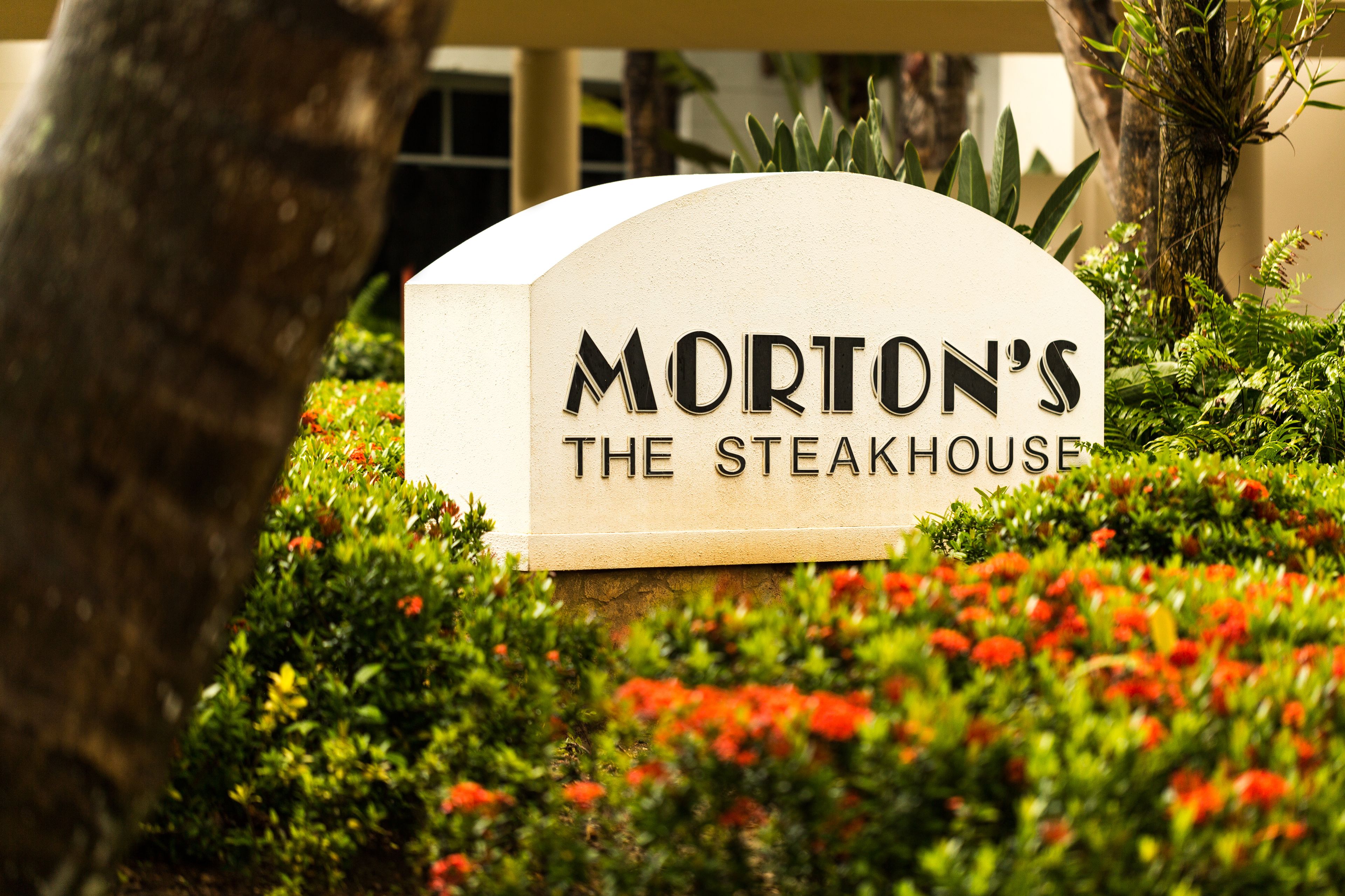 10 restaurants, international cuisine