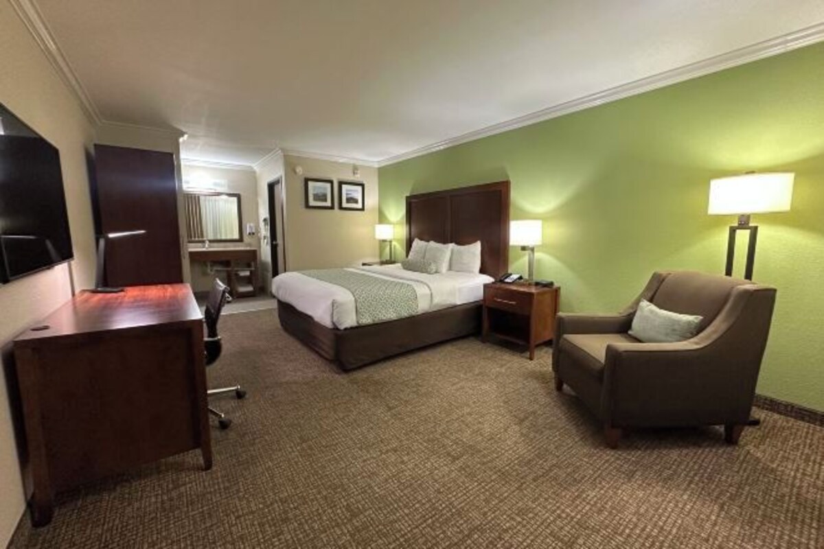 Une chambre d’hôtel avec un lit, un bureau, une chaise et un téléviseur.