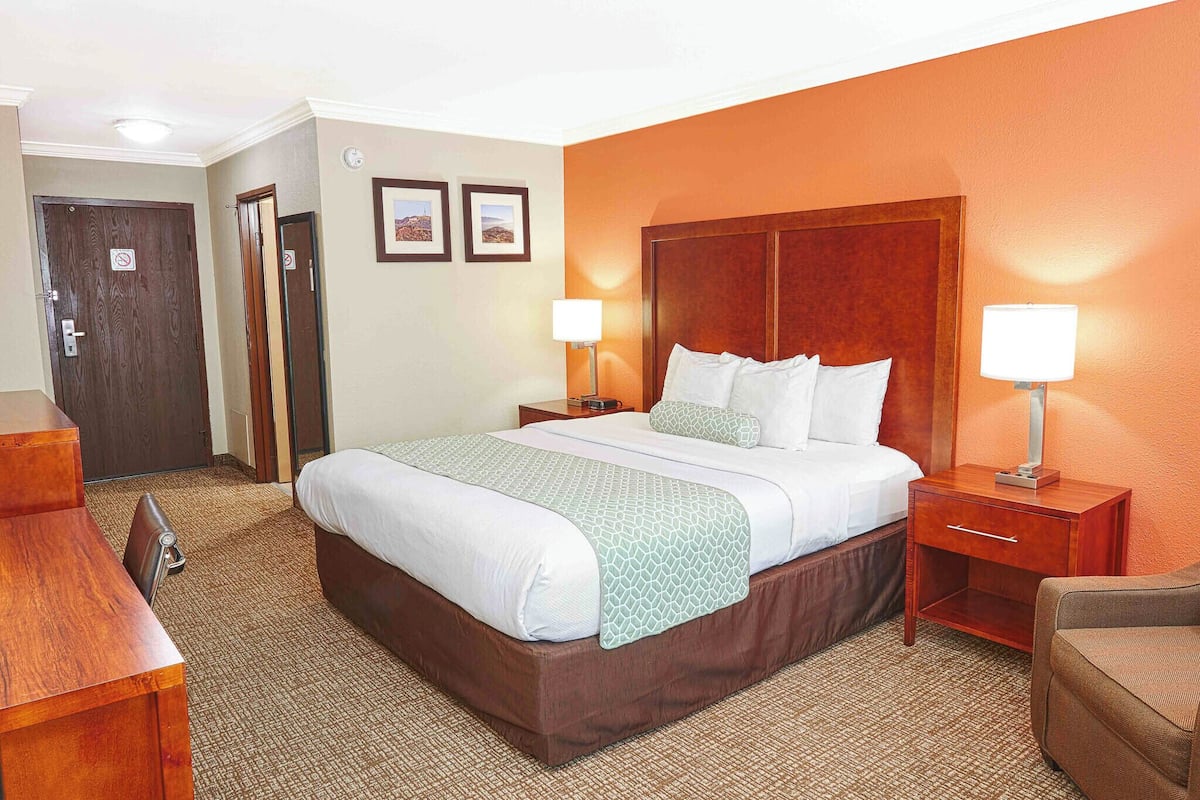 Room, 1 King Bed, Non Smoking | 1 bedroom, in-room safe, desk, blackout drapes