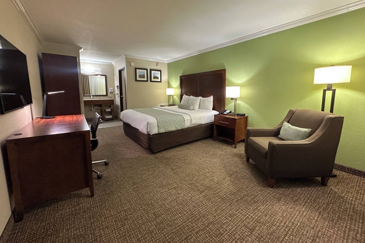 A hotel room with a bed, a desk, a chair, a TV, and a lamp.