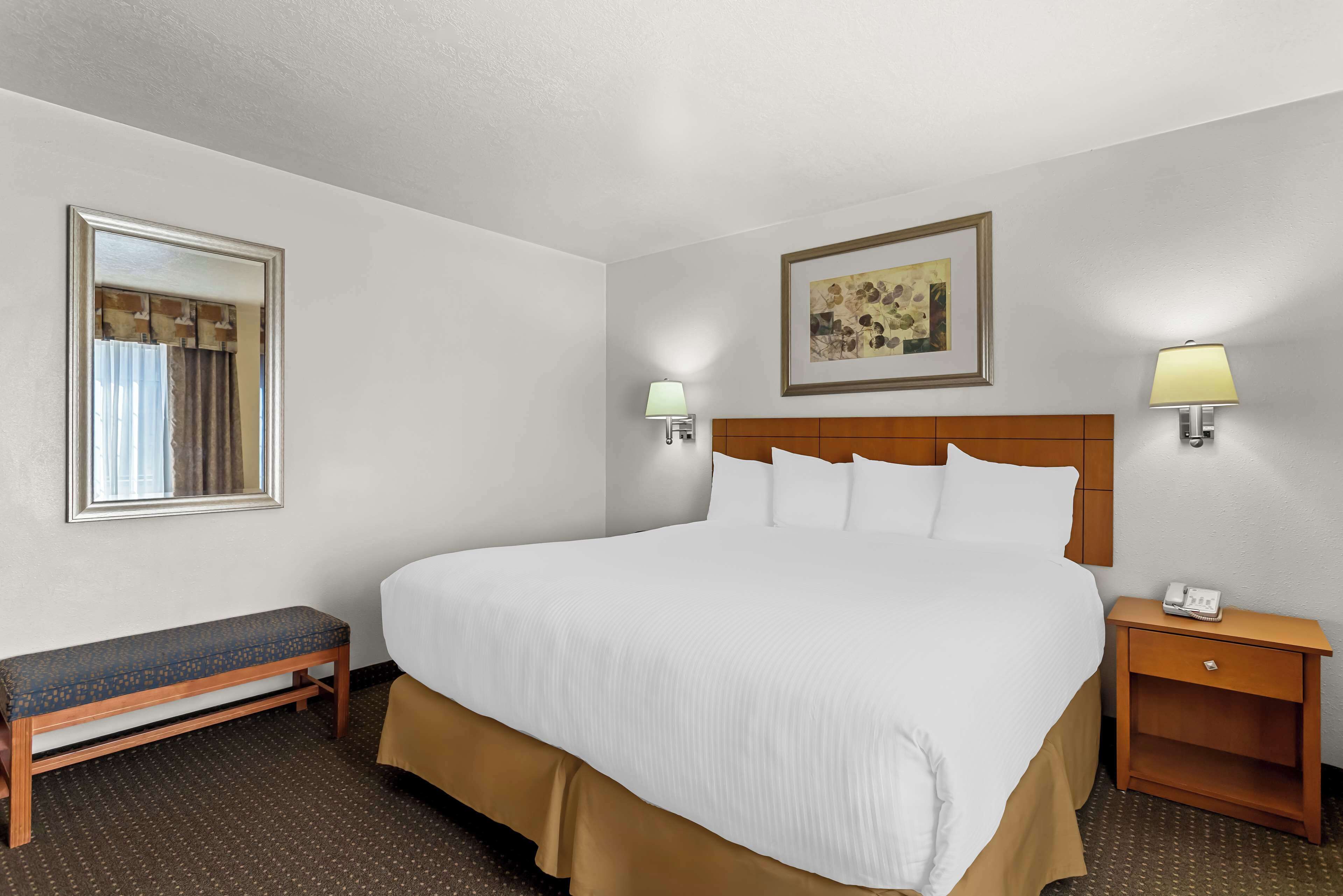 A hotel room with a large bed, a bench, a nightstand, a lamp, and a framed picture on the wall.