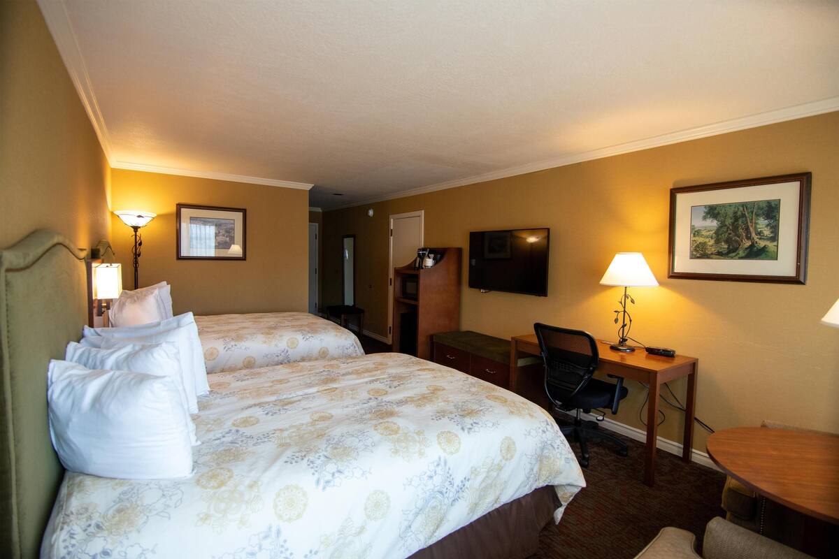 A hotel room with two beds, a desk, a chair, a TV, and a lamp.
