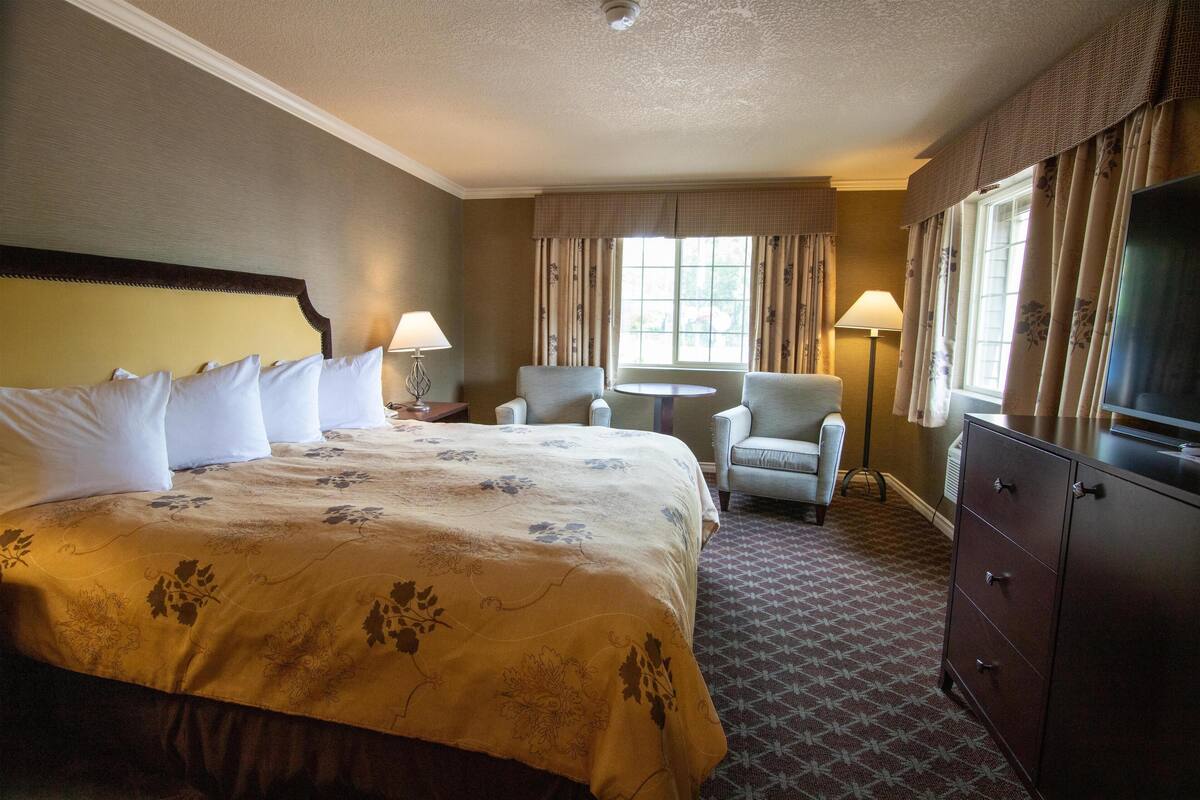 A hotel room with a large bed, a desk, a chair, a TV, and a dresser.