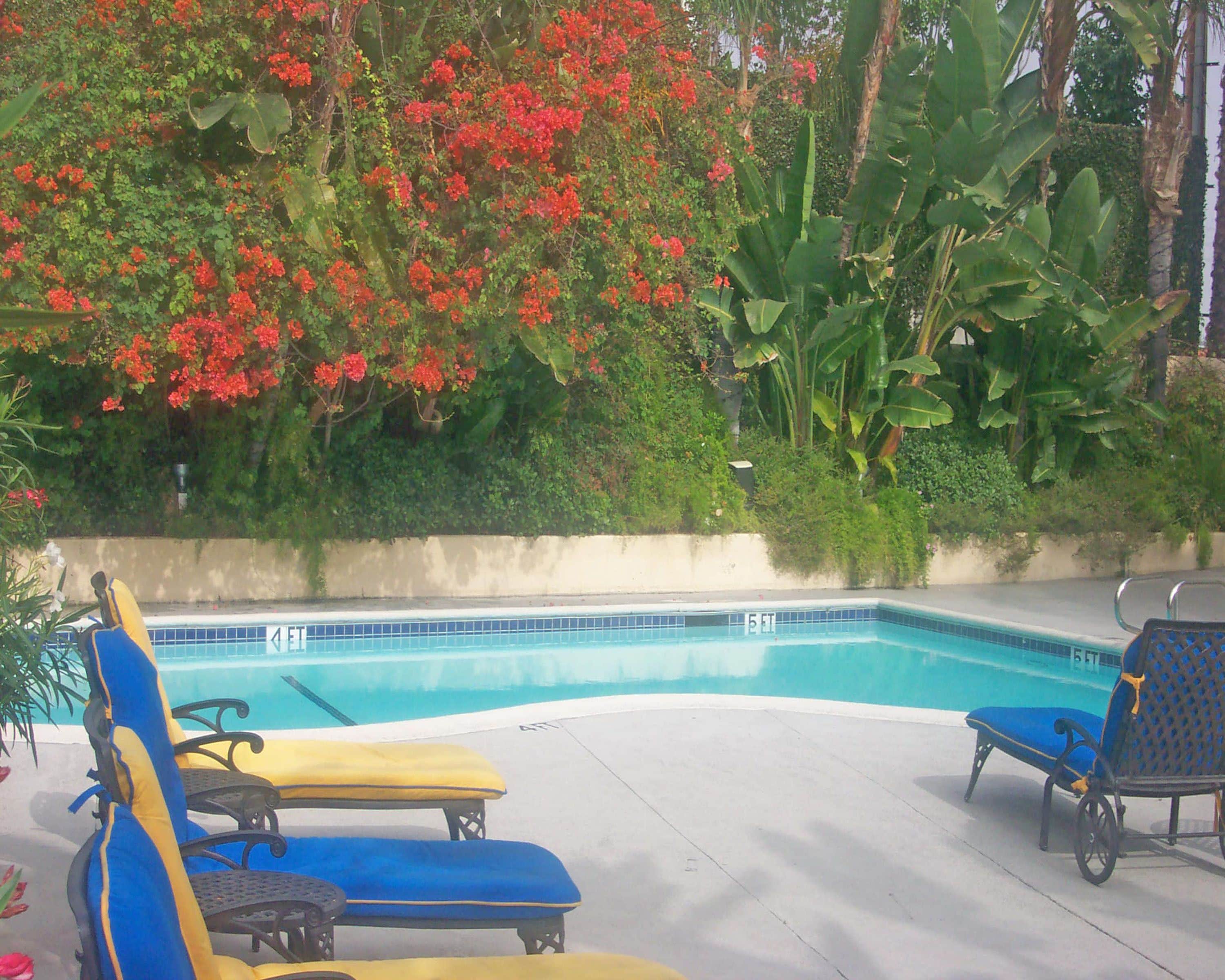 A swimming pool with lounge chairs and tropical plants.