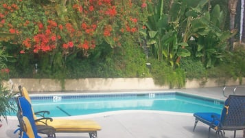 A swimming pool with lounge chairs and tropical plants.