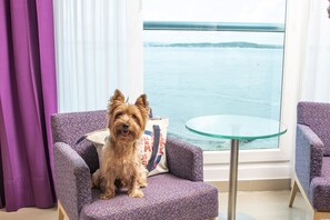 Aceita animais de estimação