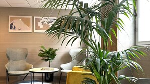 Un espace de détente moderne comprenant un canapé, des fauteuils, une table basse et une grande plante en pot.