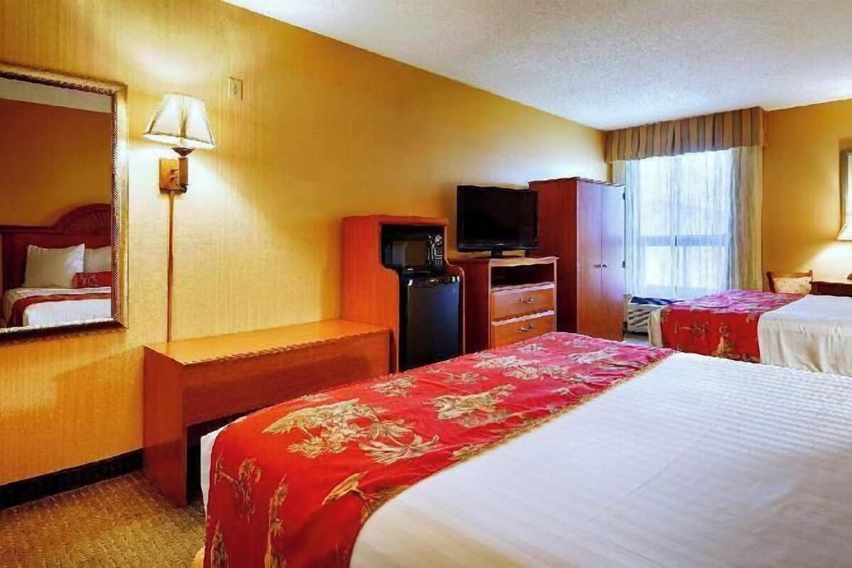 客房内保险箱、办公桌、熨斗/熨衣板、免费 WiFi