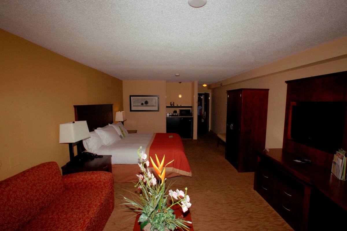 Une chambre d’hôtel avec un lit, un bureau, une télévision, un canapé rouge et un arrangement floral.