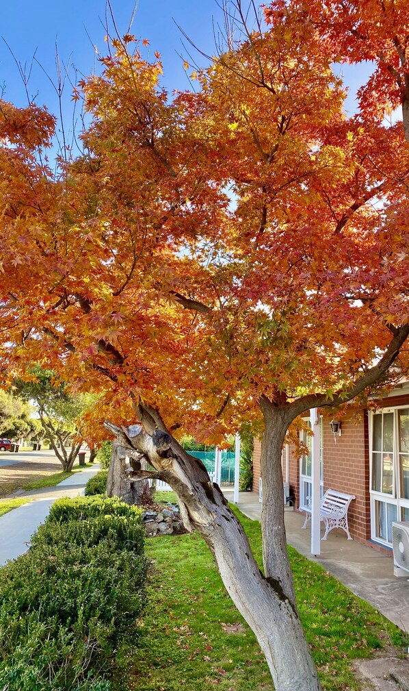 Exterior detail - Jolly Swagman Motor Inn Euroa (Euroa)