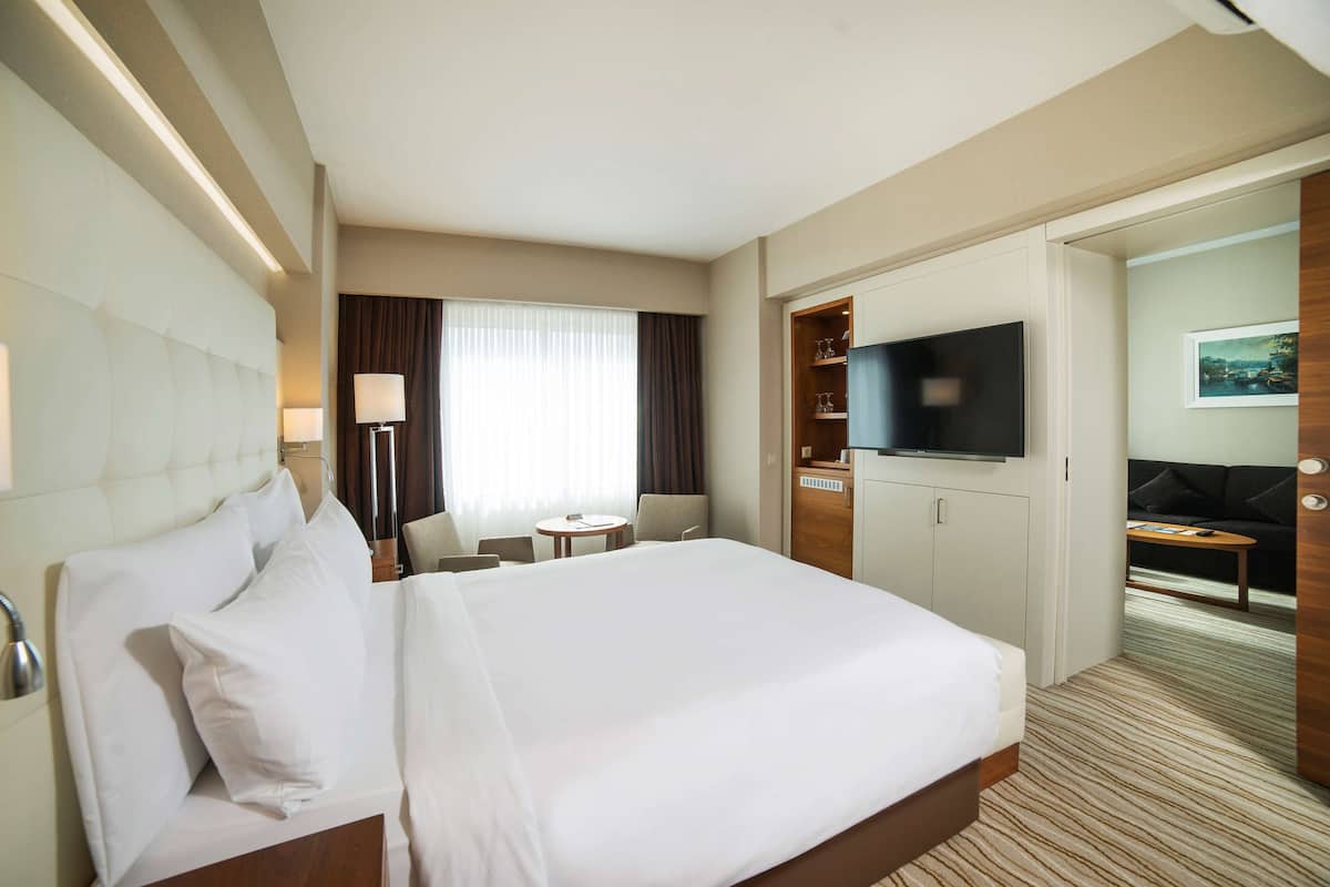 Una habitación de hotel con una cama grande, televisor, escritorio y sofá.