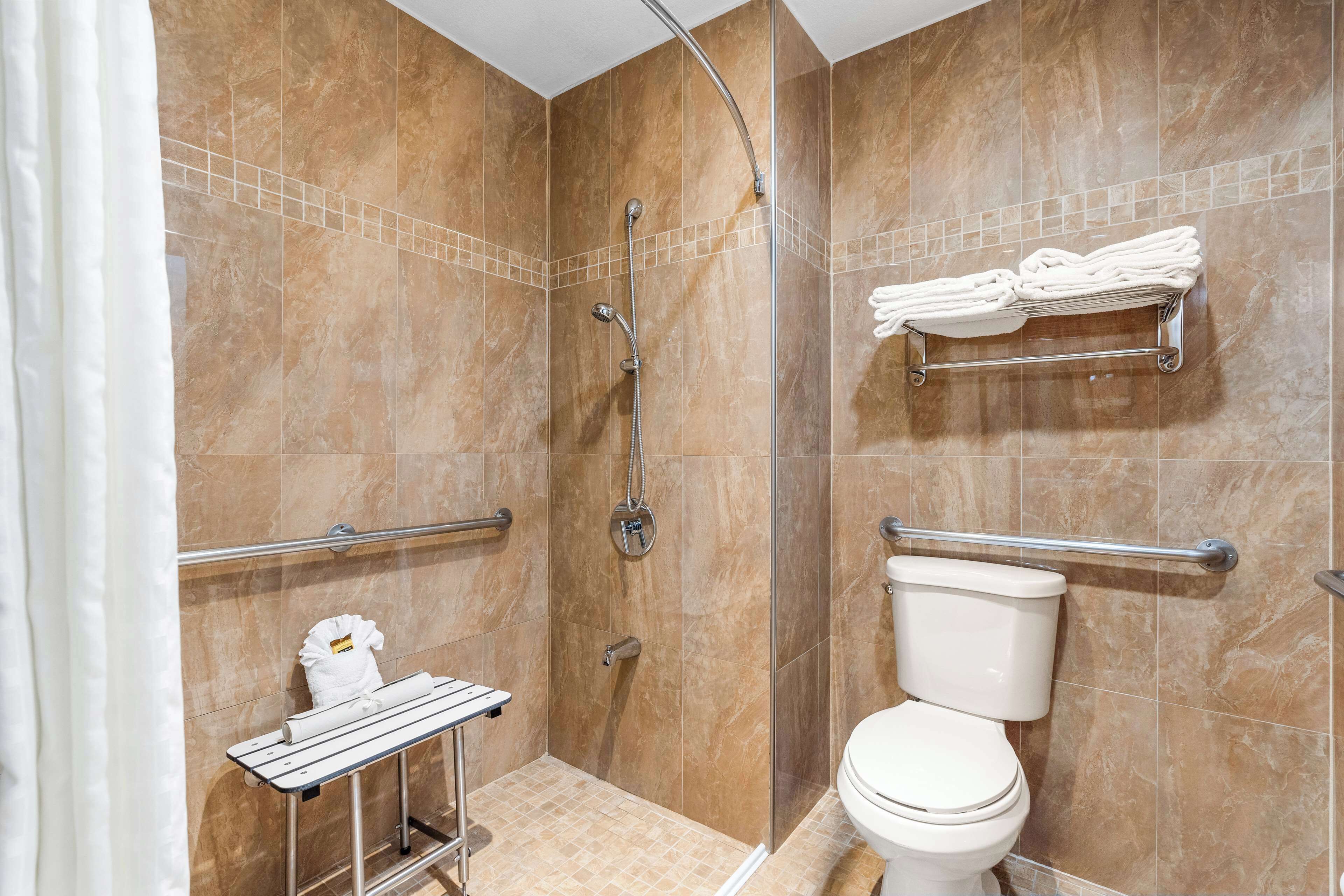 standard room, 1 king bed, accessible, non smoking | accessible bathroom