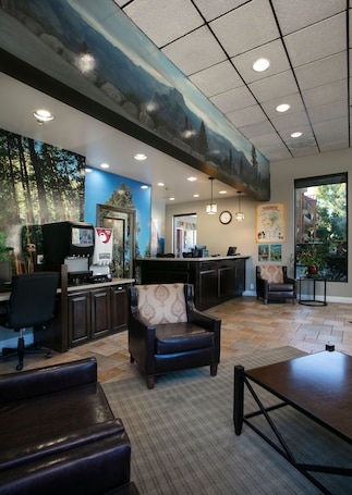 Bar en el lobby