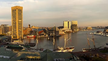 A waterfront cityscape with tall buildings, a marina with sailboats, and a prominent tall building with a sign.