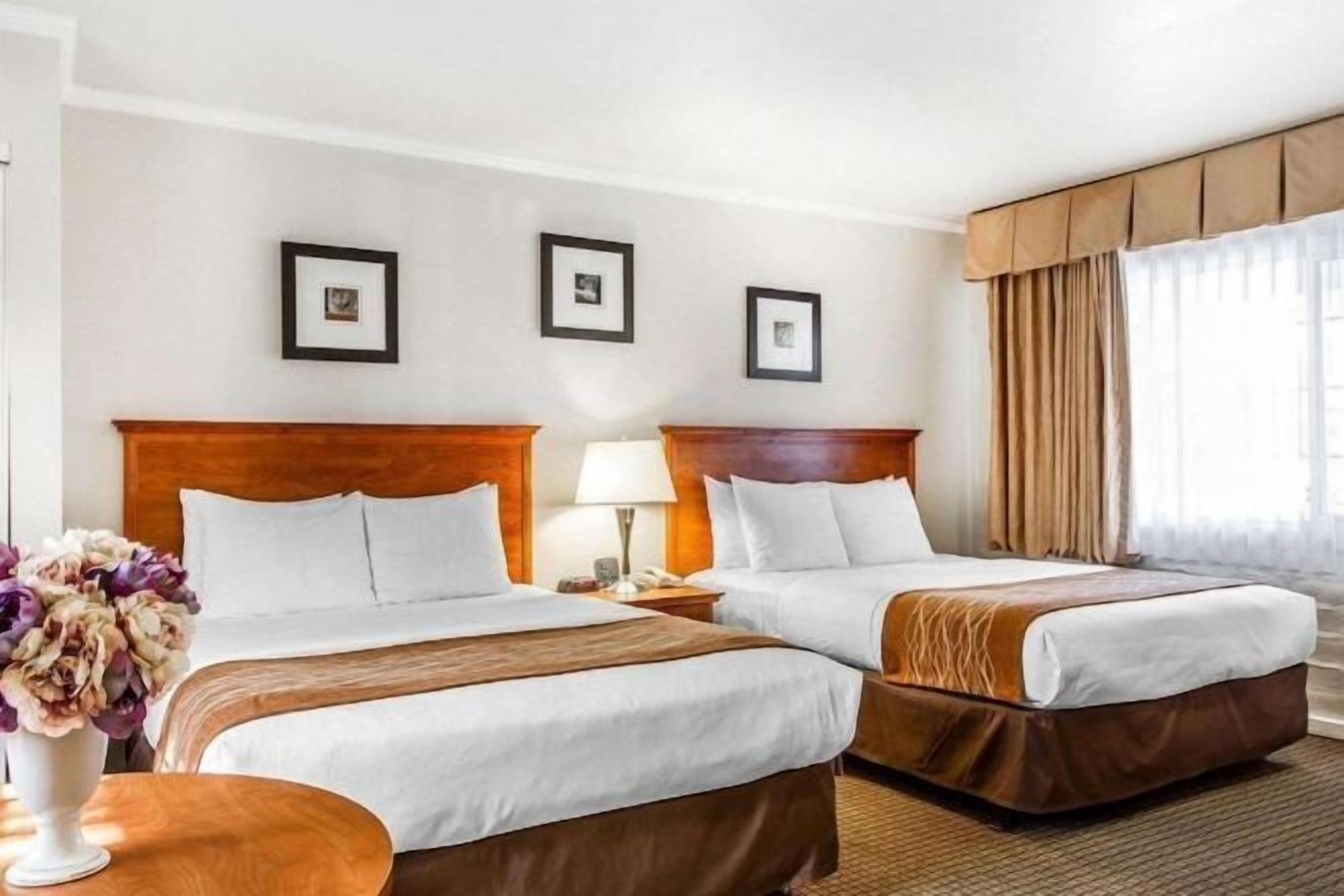 Pillow-top beds, in-room safe, iron/ironing board, free WiFi