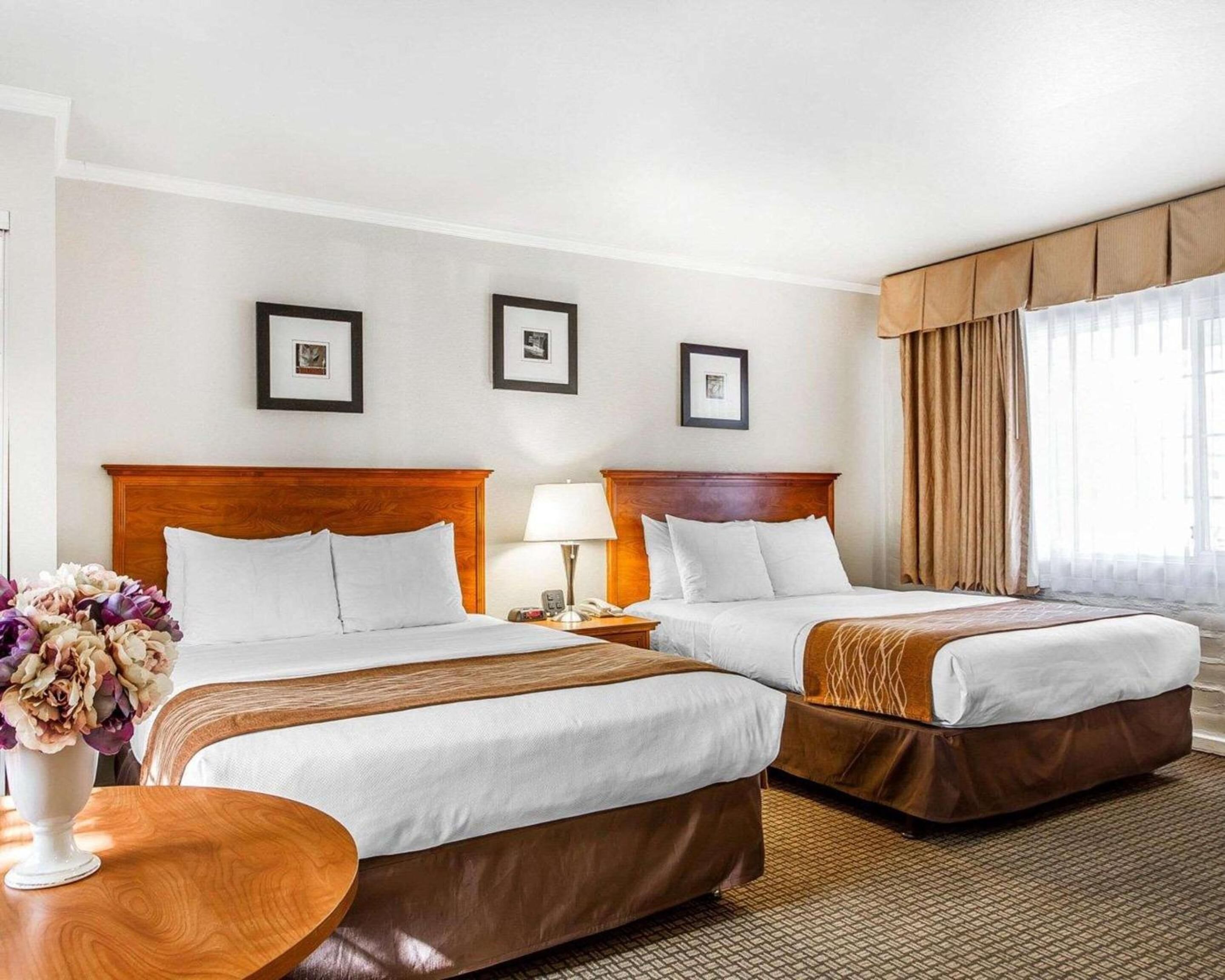 Habitación de hotel con dos camas, una mesita de noche con lámpara, un jarrón con flores y cuadros en la pared.