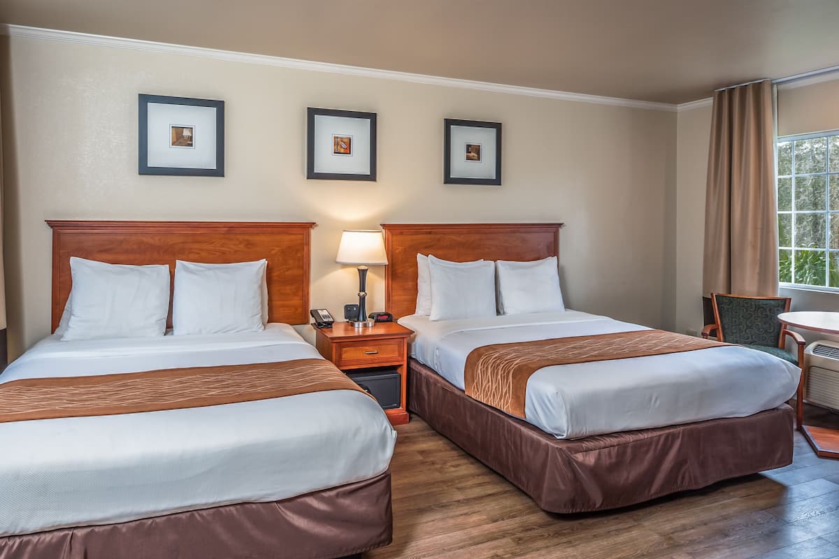 A hotel room with two beds, a nightstand with a lamp, and framed pictures on the wall.