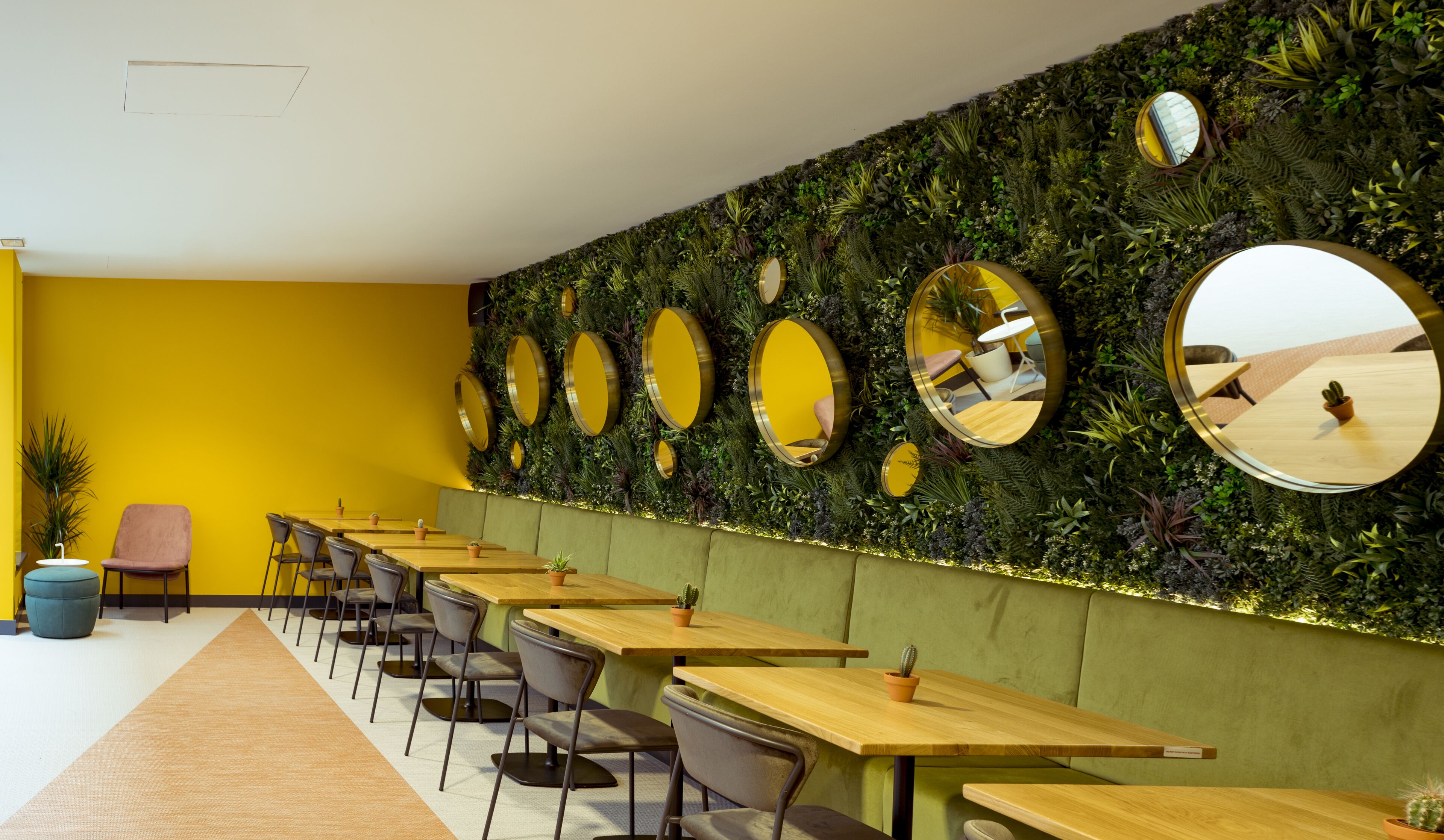 A modern dining area with long wooden tables and chairs, a green accent wall with mirrors, and a yellow wall.