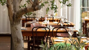 Un espace repas avec des tables dressées pour les repas, des plantes suspendues et un arbre servant d’élément décoratif central.