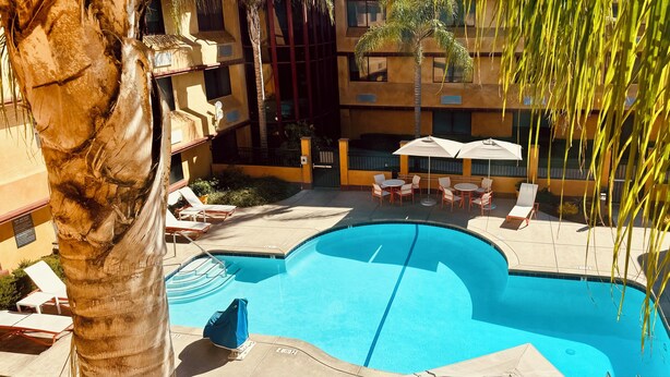 A swimming pool with lounge chairs and umbrellas, surrounded by a building with balconies and a palm tree.