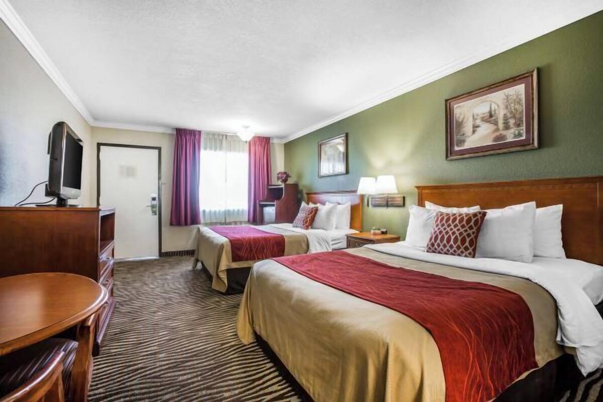 Ropa de cama de alta calidad y edredón