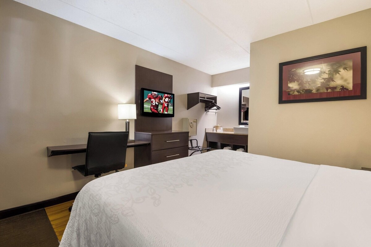 A hotel room with a large bed, a desk with a computer, a TV mounted on the wall, and a framed picture on the wall.