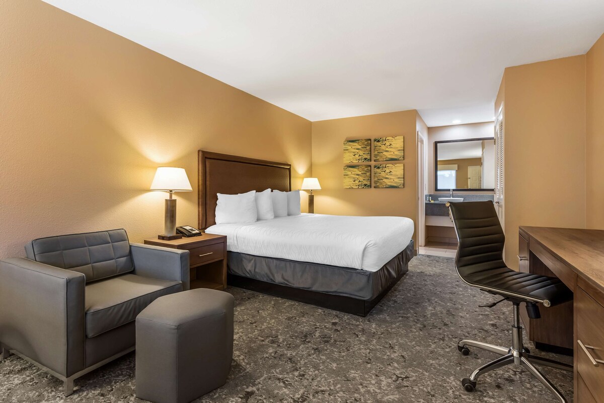 A hotel room with a bed, a desk, a chair, a sofa, and a small ottoman.