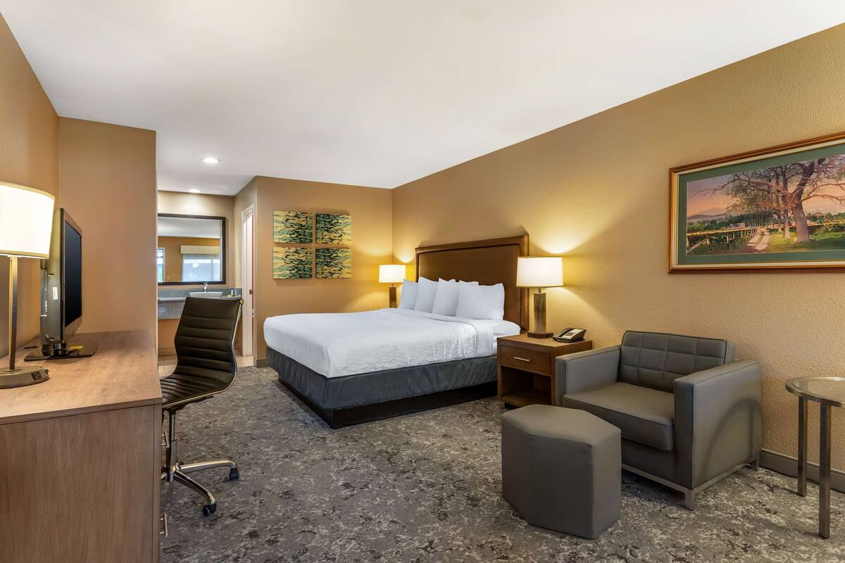 A hotel room with a bed, desk, chair, and ottoman.