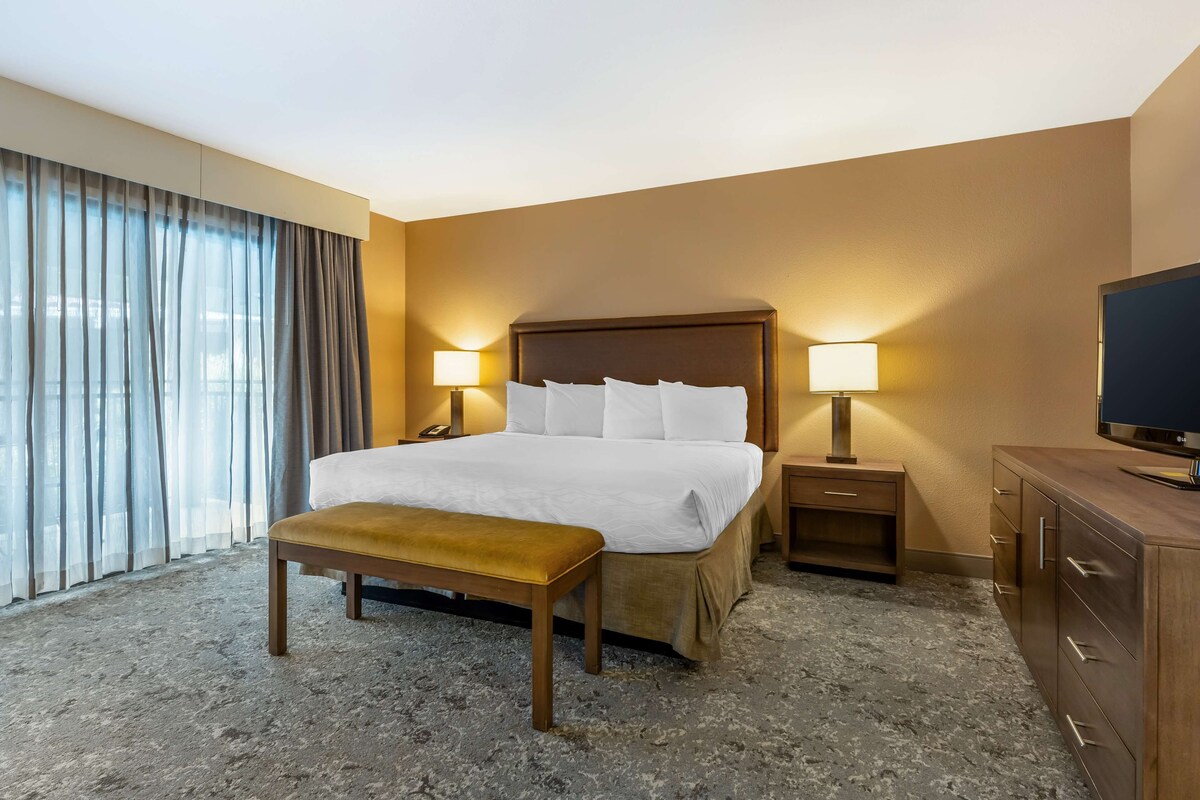 A hotel room with a bed, bedside tables, a bench, a TV, and a large window with curtains.