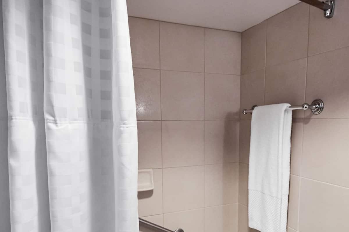 Baño | Amenidades de baño ecológicas, secadora de cabello, toallas
