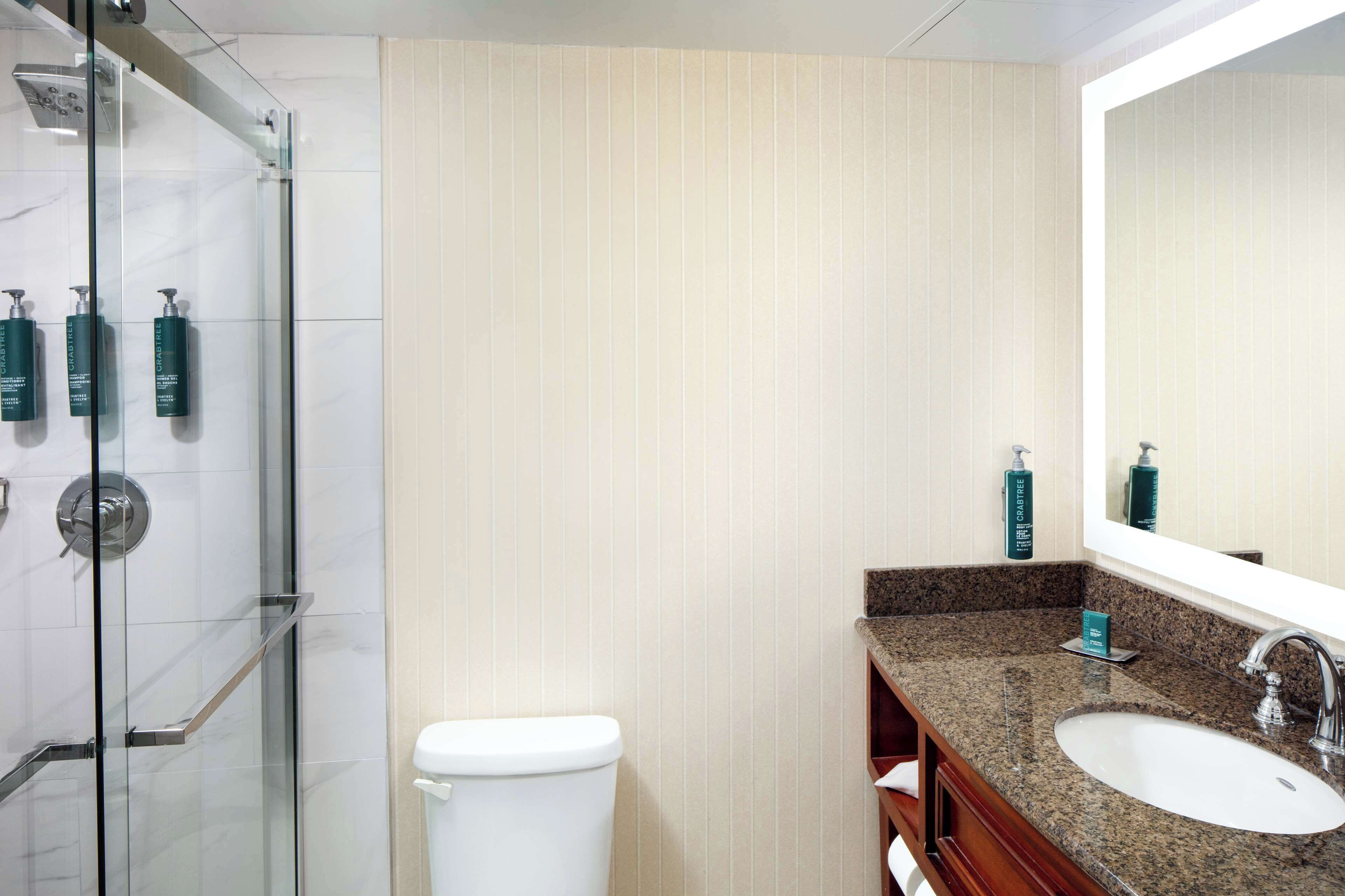 Une salle de bain moderne avec une douche à parois de verre, des toilettes blanches, un lavabo sur un plan de travail en granit et un grand miroir.