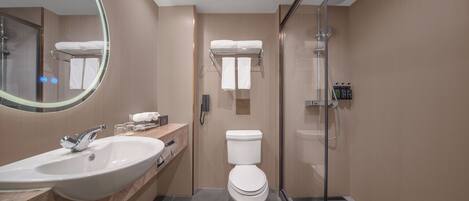 Un bagno moderno con un lavandino ampio, il water e una cabina doccia in vetro.